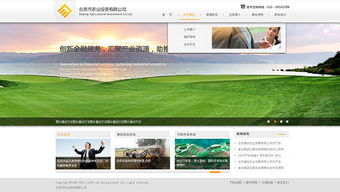 網(wǎng)思中國(guó) 高端網(wǎng)站定制與建設(shè)維護(hù)的行業(yè)典范